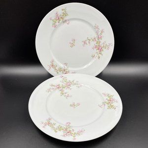 Antique VICTORIA AUSTRIA Pink Floral Porcelain